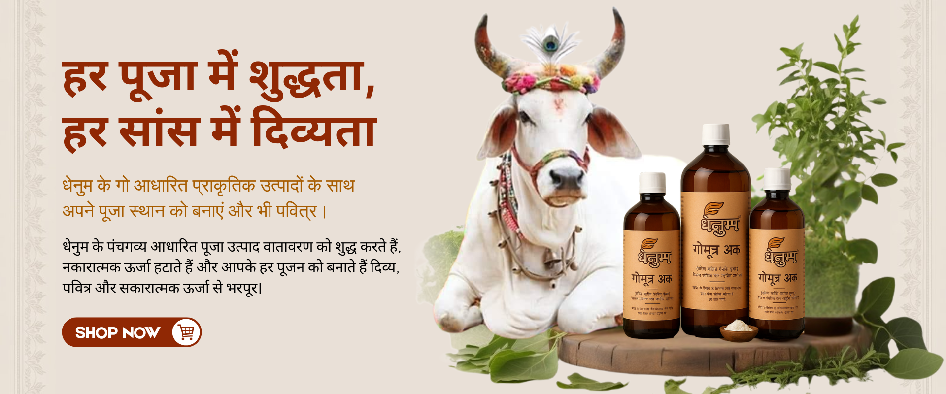 Authentic Indian Spices for Every Kitchen (8)